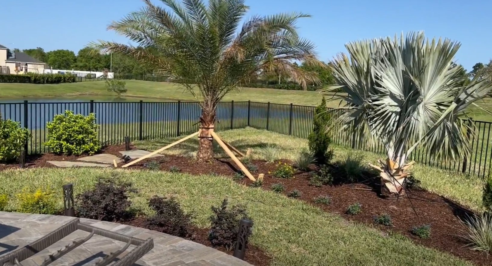 Professional landscape installation with palm trees and native plants