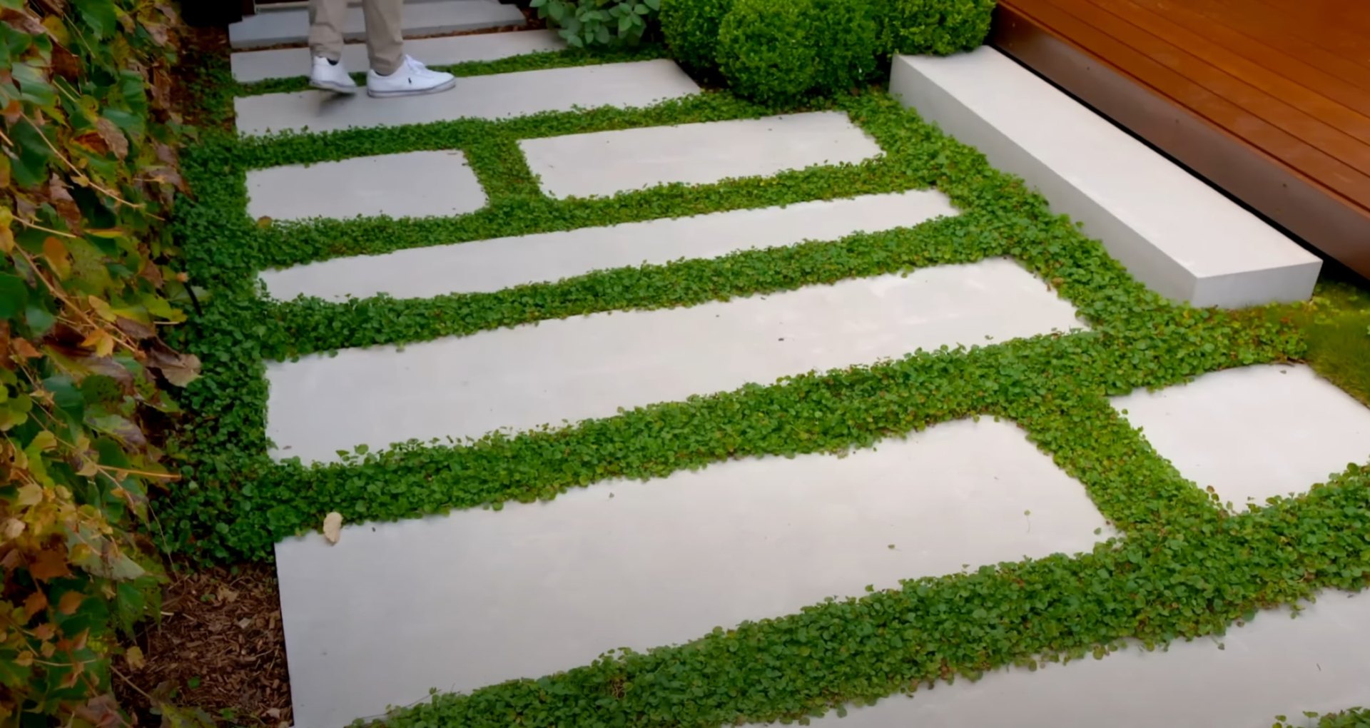 Contemporary stepping stone pathway with geometric design and low-maintenance ground cover