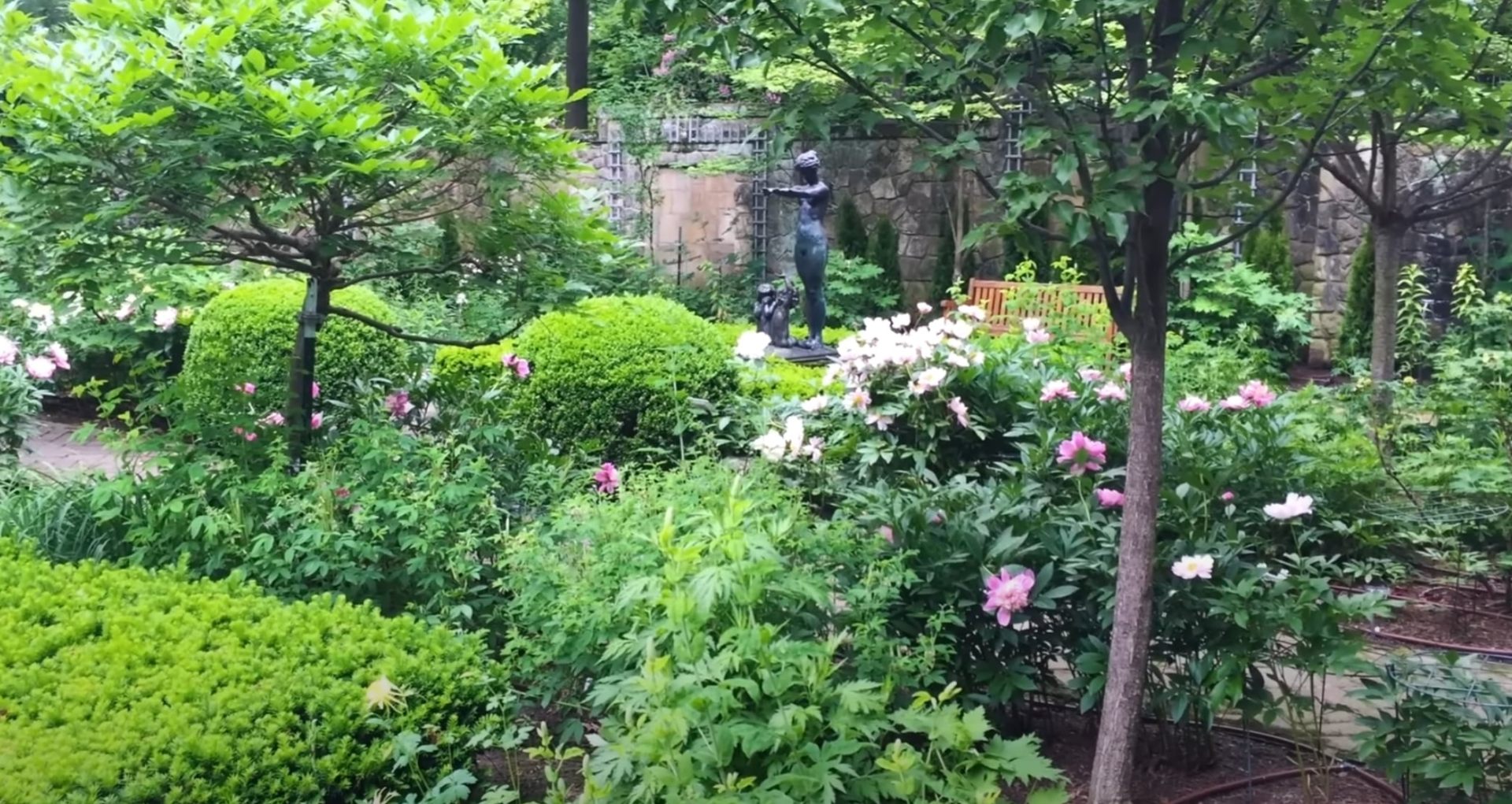Stunning garden sanctuary with flowering shrubs, mature trees, and artistic landscape design
